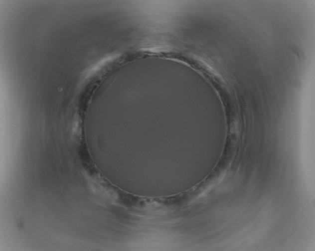 X0000110991398200907022107