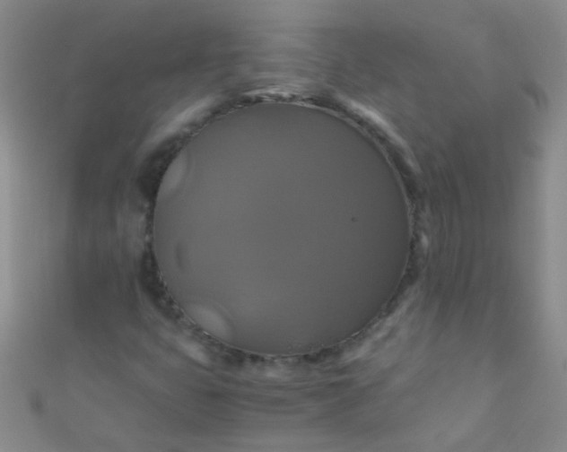 X0000110991399200907022107