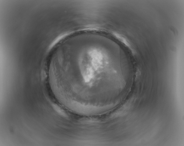 X0000110991400200907022107