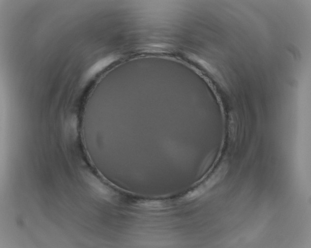 X0000110991402200907022107