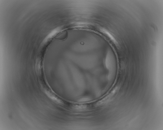 X0000110991403200907022107