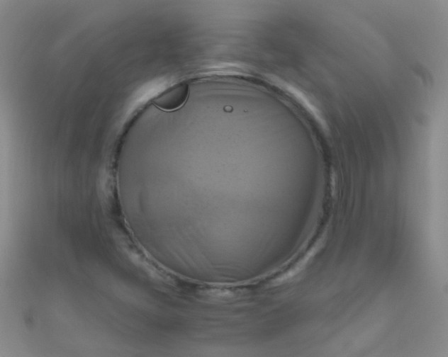 X0000110991405200907022107