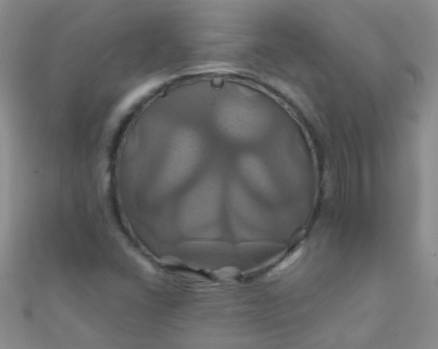 X0000110991406200907022107