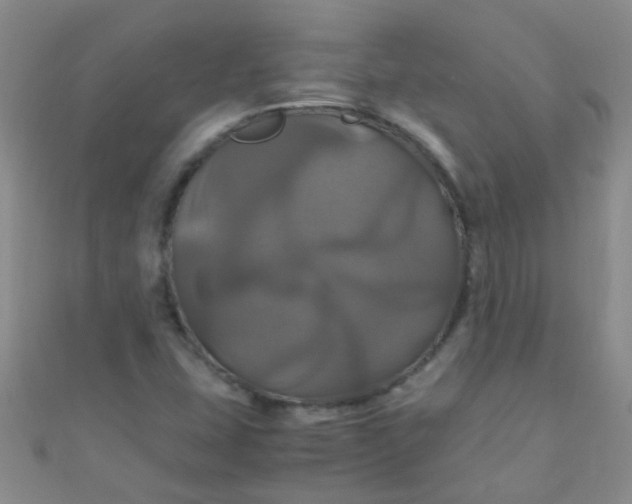 X0000110991407200907022107