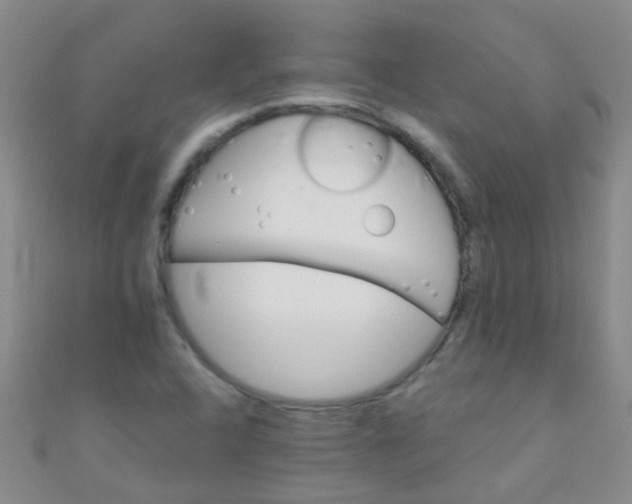 X0000110991408200907022107