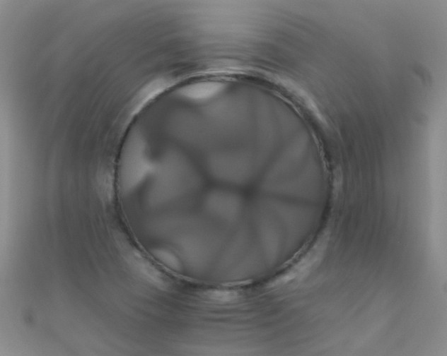 X0000110991409200907022107