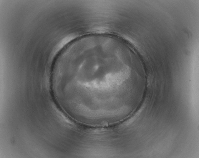 X0000110991410200907022107
