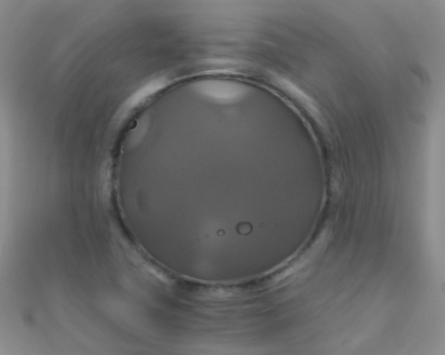 X0000110991411200907022107