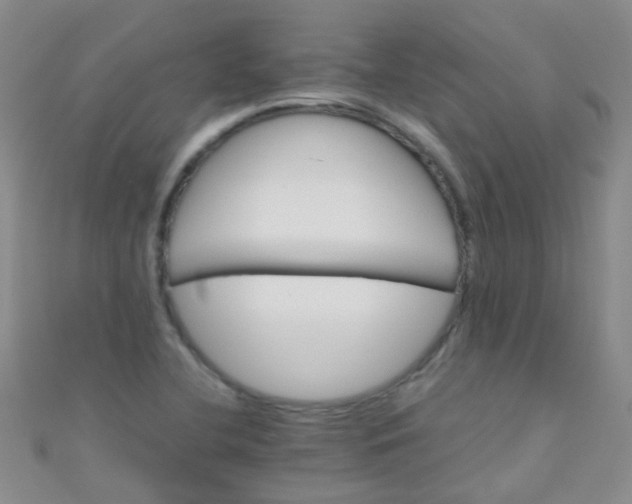 X0000110991412200907022107