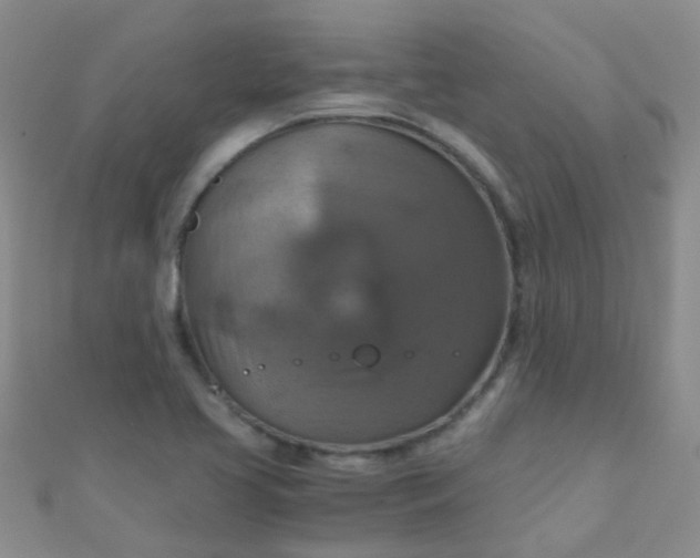 X0000110991413200907022107