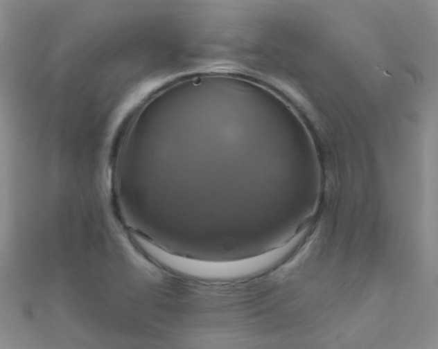 X0000110991414200907022107