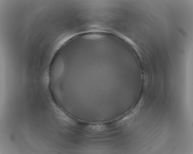 X0000110991415200907022107
