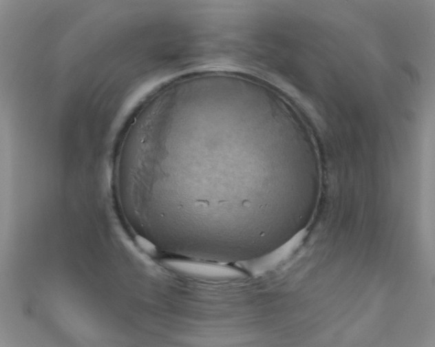 X0000110991416200907022107