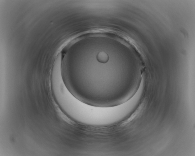 X0000110991417200907022107