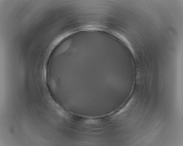 X0000110991419200907022107