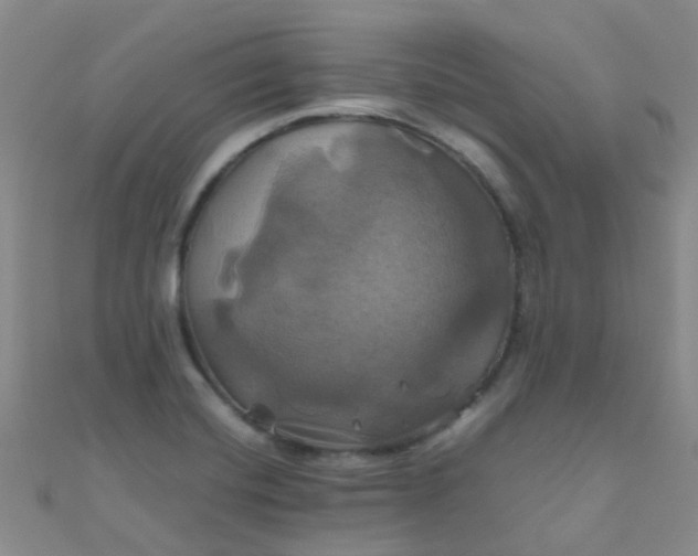 X0000110991420200907022107
