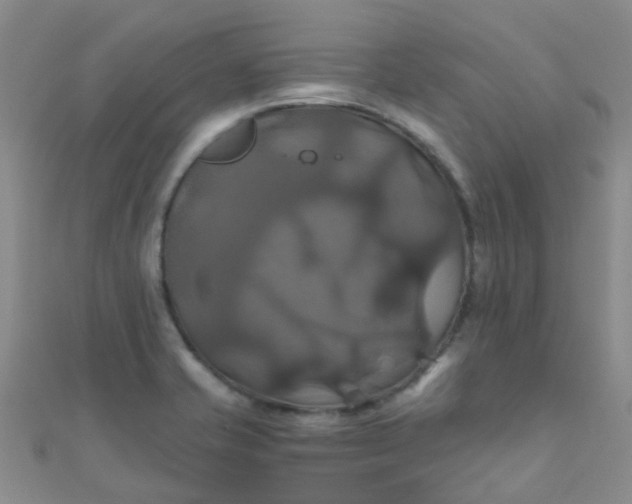 X0000110991421200907022107