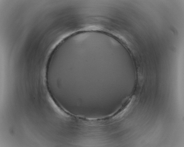 X0000110991422200907022107