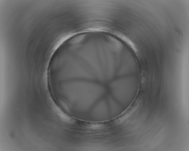 X0000110991423200907022107