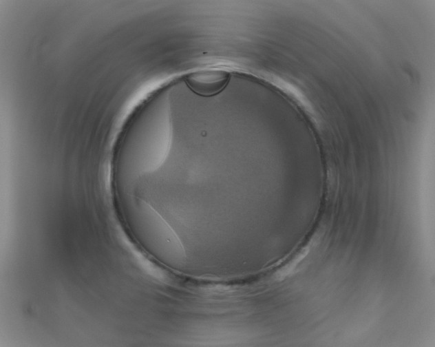 X0000110991424200907022107