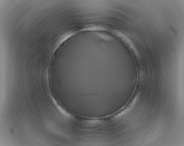 X0000110991425200907022107