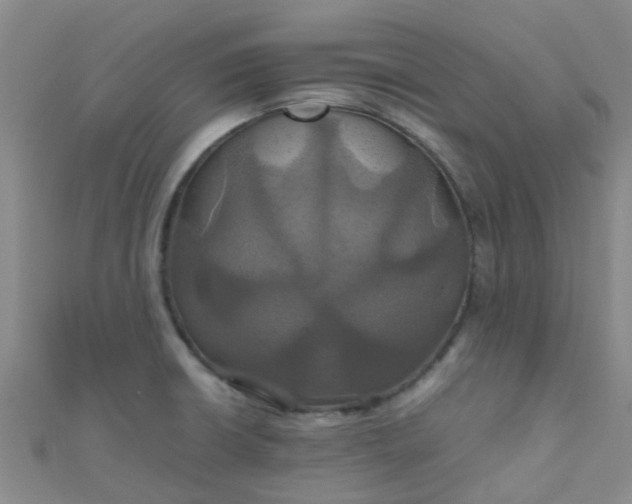 X0000110991426200907022108