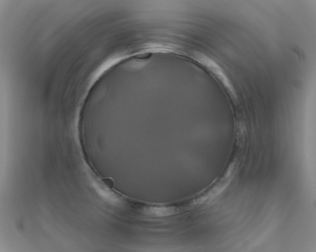 X0000110991427200907022108