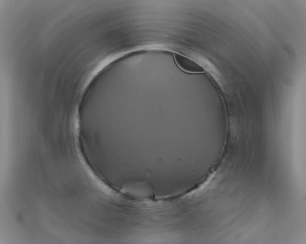 X0000110991428200907022108
