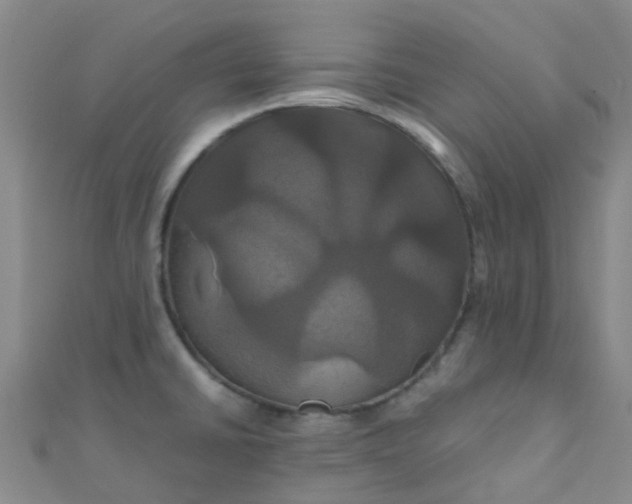X0000110991430200907022108