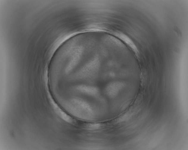 X0000110991431200907022108
