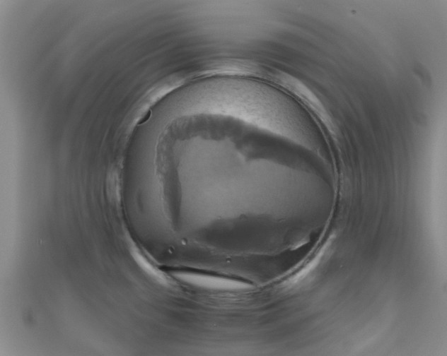 X0000110991433200907022108