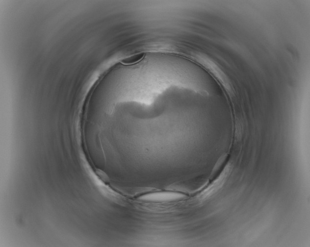 X0000110991434200907022108