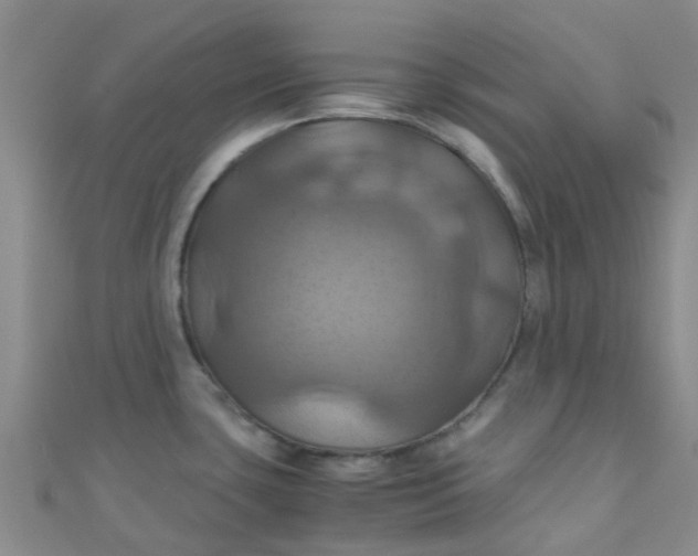 X0000110991435200907022108