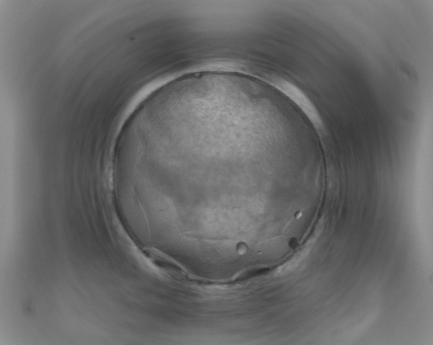 X0000110991436200907022108