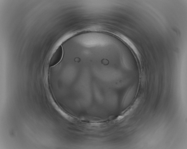 X0000110991437200907022108