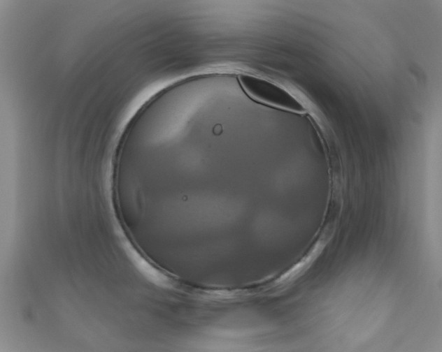 X0000110991438200907022108