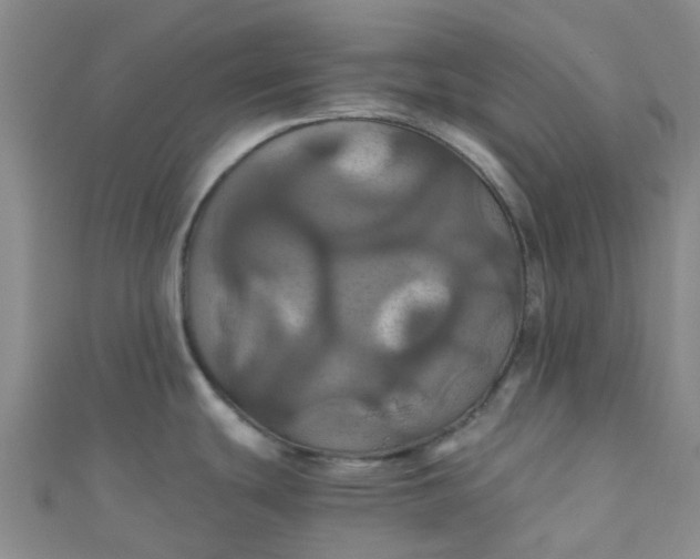 X0000110991439200907022108