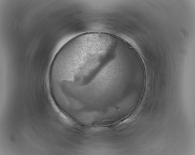 X0000110991440200907022108