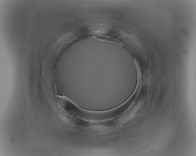 X0000110991441200907022107