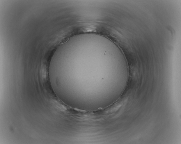 X0000110991442200907022107
