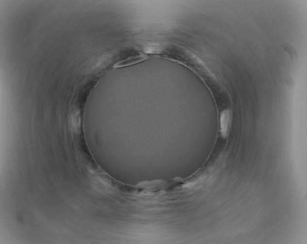 X0000110991443200907022107