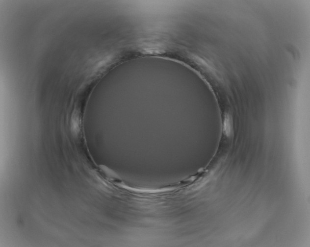X0000110991444200907022107