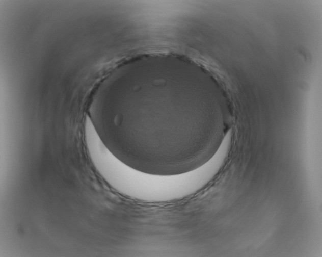 X0000110991445200907022107