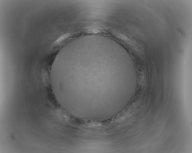 X0000110991446200907022107
