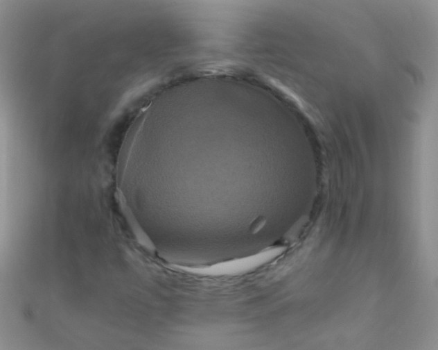 X0000110991447200907022107