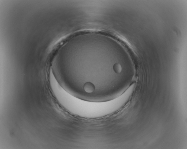 X0000110991448200907022107