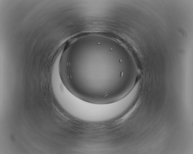 X0000110991449200907022107