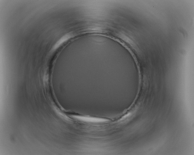 X0000110991450200907022107