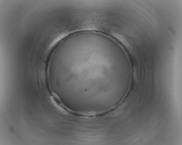 X0000110991452200907022107