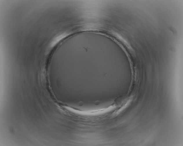 X0000110991453200907022107